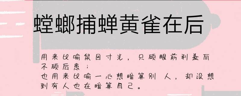 螳螂捕蝉黄雀在后的意思(螳螂捕蝉黄雀在后的意思是什么)
