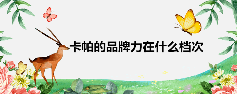 kappa是什么牌子(卡帕的品牌力在什么档次)