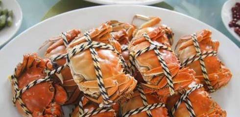 柿子相克食物(与柿子相克的食物)