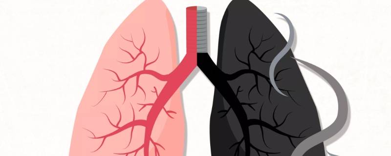 癌症会传染吗(癌症会不会传染)