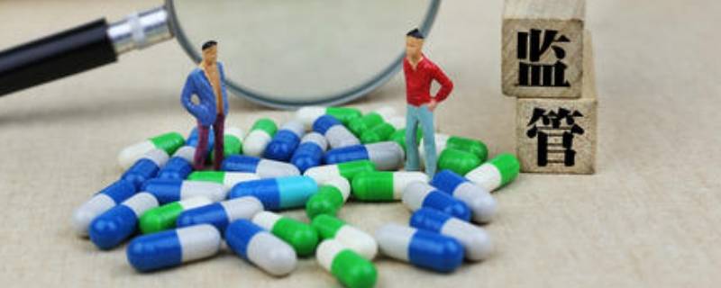 bug怎么读(bug什么意思读音)