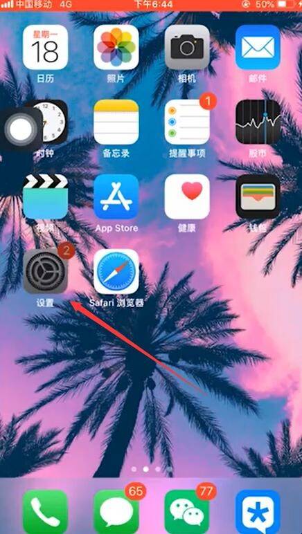 苹果浏览器safari打不开网页(苹果手机浏览器打不开网页怎么办)