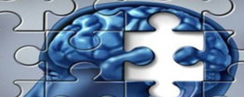 人性感性理性的关系是什么(感性认识和理性认识统一的基础是)