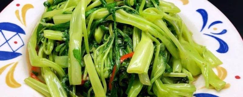 怎么炒水菜(水菜怎么炒好吃)