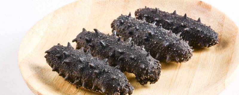 干海参怎么吃(干海参怎么吃)