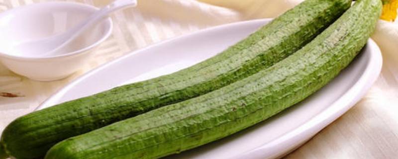 丝瓜的功效(夏季吃丝瓜的好处是什么)