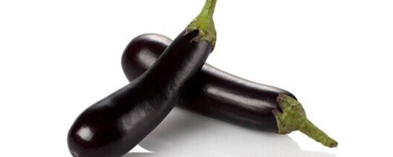 茄子软了能吃吗(茄子放久了焉了还能吃吗)