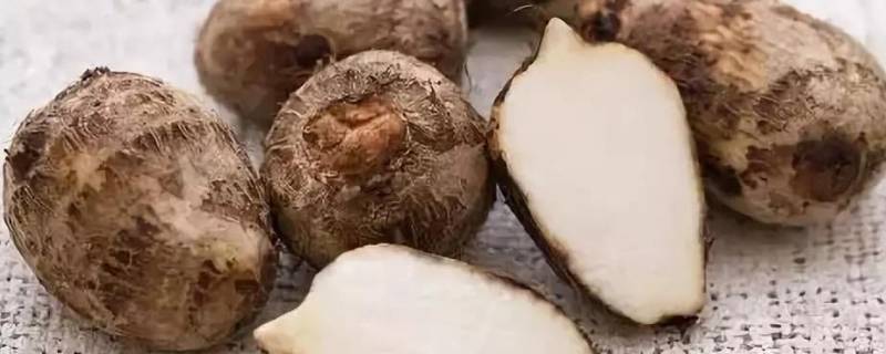 用微波炉烘山芋(芋头可以用微波炉热吗)