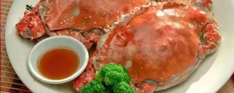 梭子蟹哪些位置不能吃(怎么判断梭子蟹能不能吃)