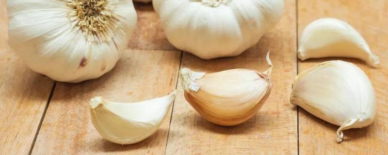 大蒜水的功效与作用(早上喝大蒜水有什么好处)