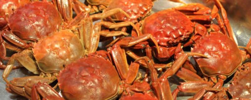 螃蟹死了能吃吗(螃蟹死了是不是不能吃了)