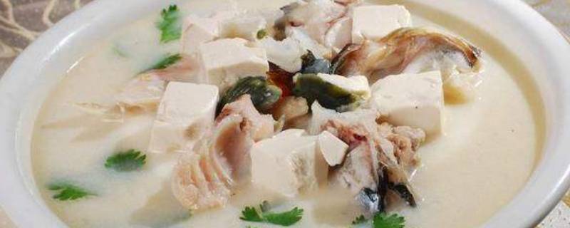 鱼头豆腐汤(鱼头豆腐汤可以放牛奶吗)