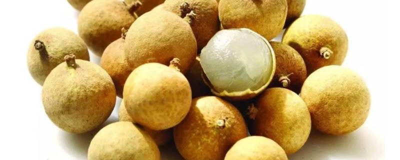 龙眼能放几天(清洗过的龙眼还能久放吗)