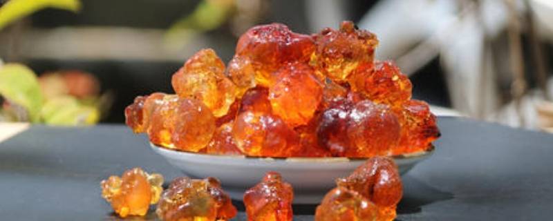 桃胶要泡多久(桃胶一定要泡12小时吗)