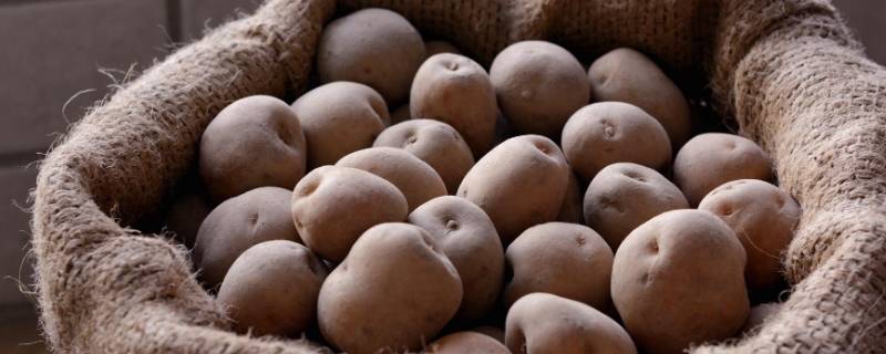 土豆的功效是什么(土豆对人体有什么好处？)