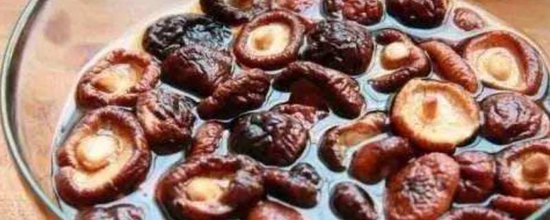 香菇能泡一夜吗(干香菇能泡了隔夜吃吗)