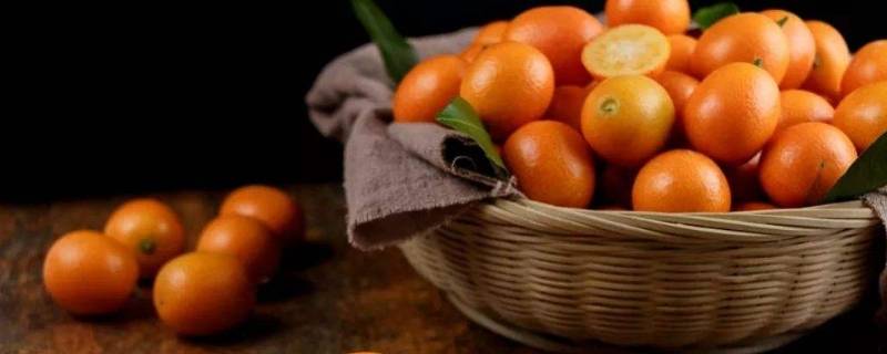 金橘有哪些功效(金桔的作用有些什么呢)