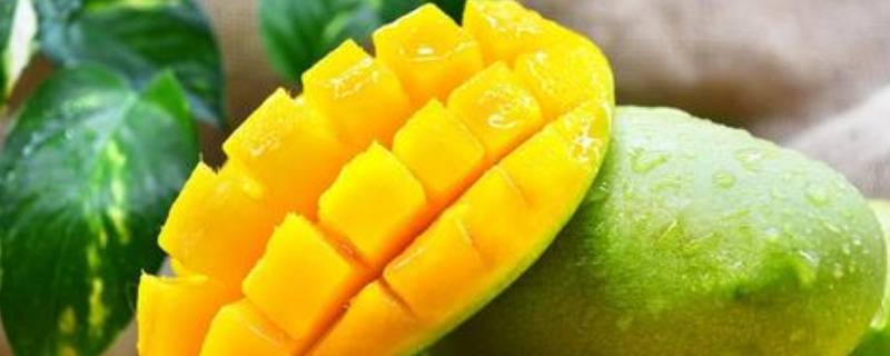 青芒里面是白色能吃吗(为什么青芒切开是白的)