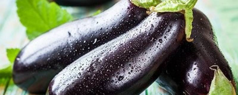 茄子心发黄褐色(茄子里边发黄是不是坏了)